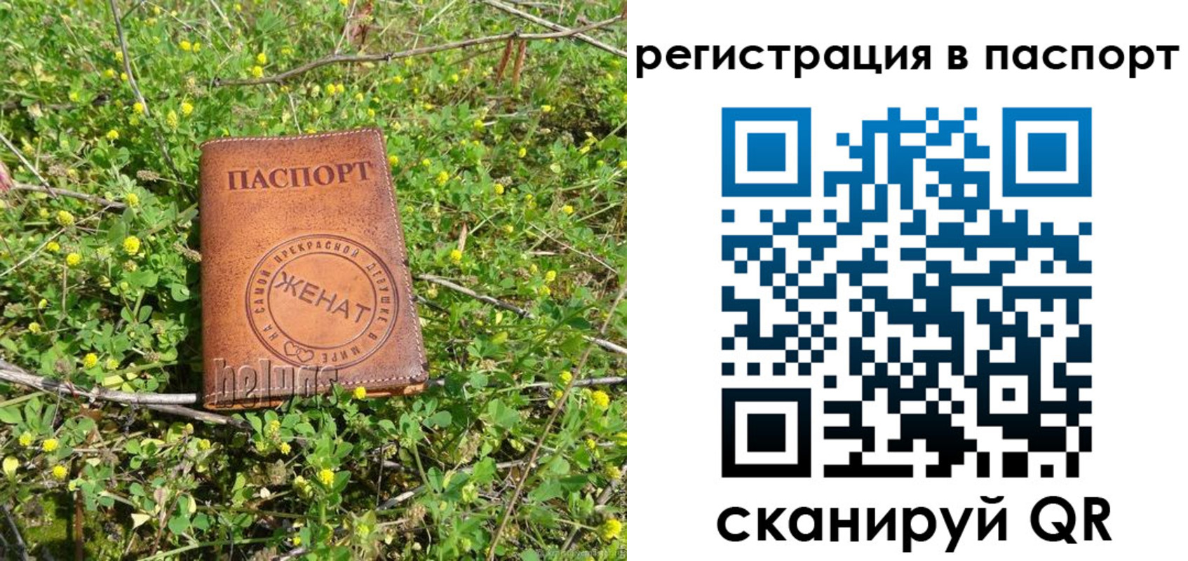 прописка законно в Кукморе